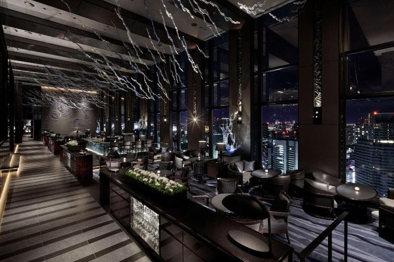 Shinagawa Prince Hotel (Annex Tower) (D) 5