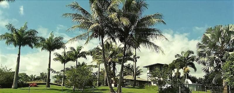 Island Goode's - Luxury Adults Only Accommodation 5