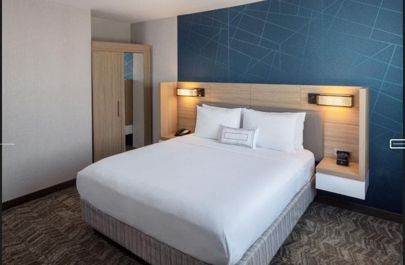 Springhill Suites By Marriott New York Jfk Airport/Jamaica 3