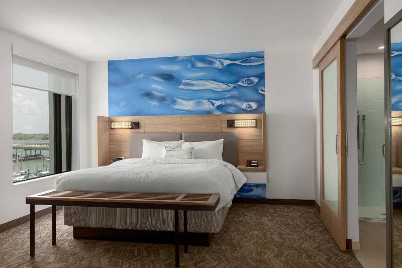 Springhill Suites Bradenton Downtown/Riverfront 4