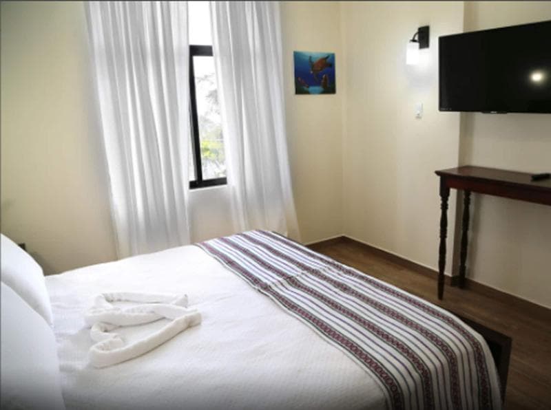 Jan's Hotel photo 1