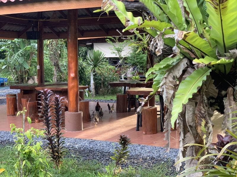Talaungjit Resort & Garden photo 1