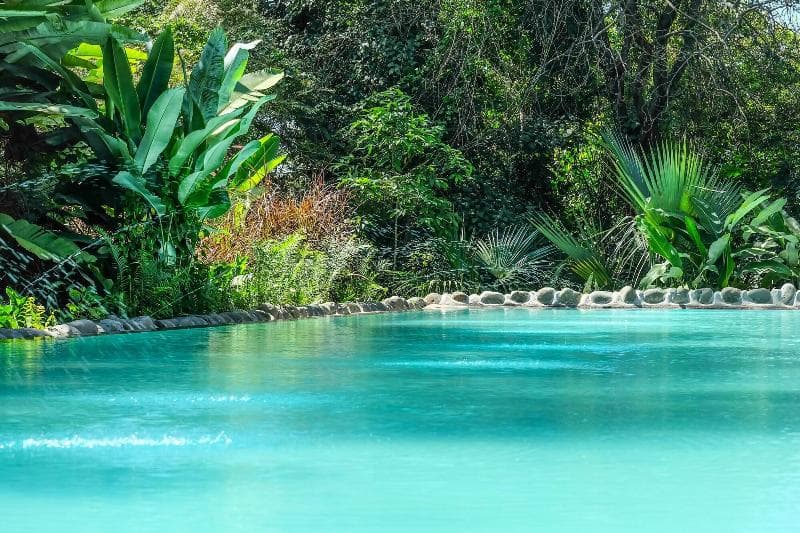 Ngare Sero Mountain Lodge 3