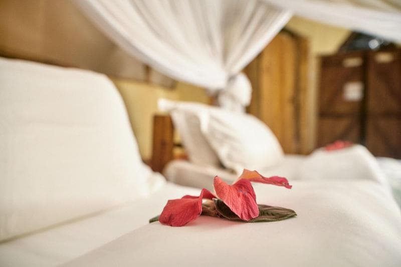Karama Lodge & Spa 5
