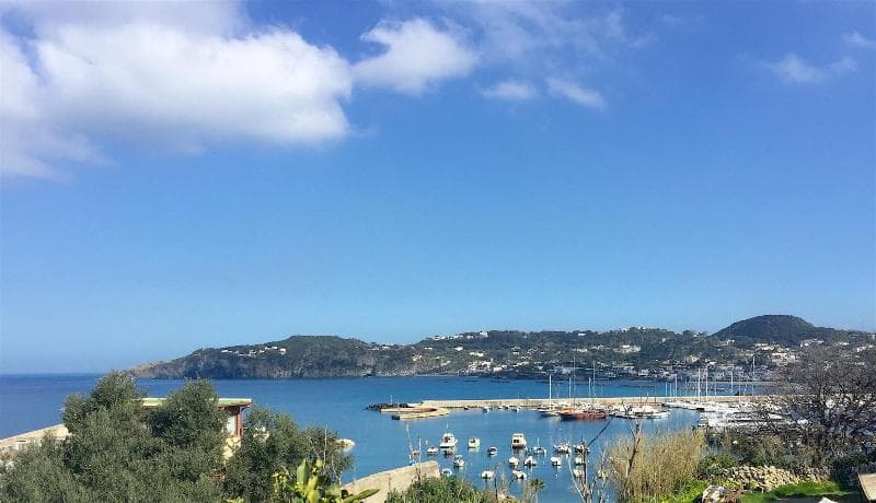 Harbour View 4