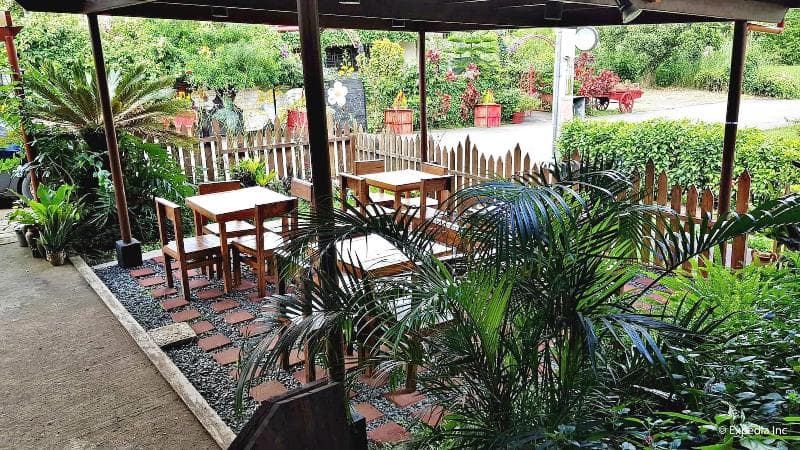 Royal Thee Bed & Breakfast 5