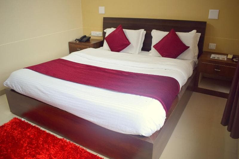 Hotel Vasundhra 4