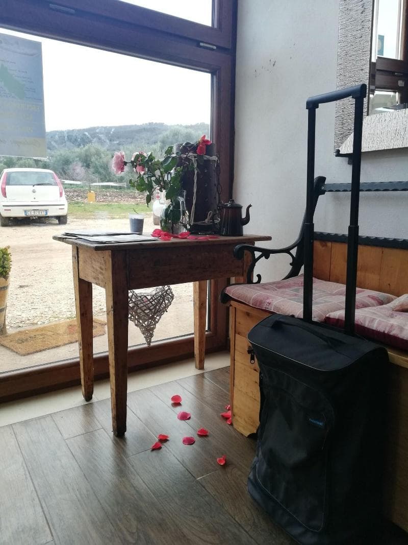 Gio Horses Bed & Breakfast 4