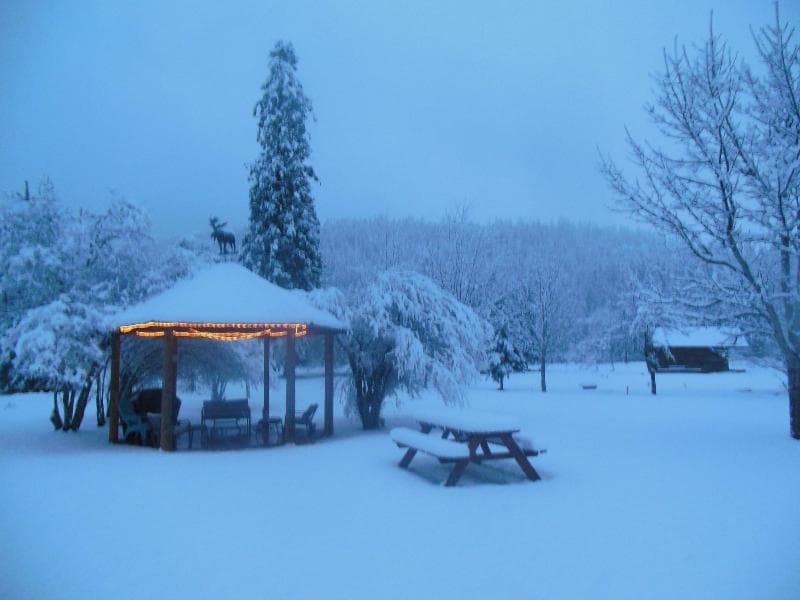 Clark Fork Lodge 4