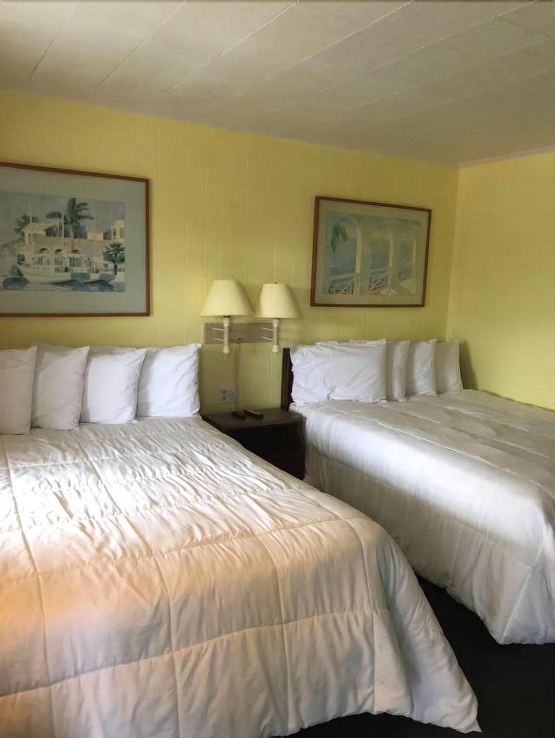 Swell Motel photo 1