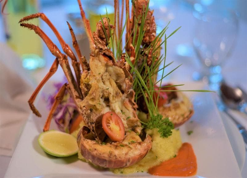 Alkquimia Hotel Lounge And Bar 4