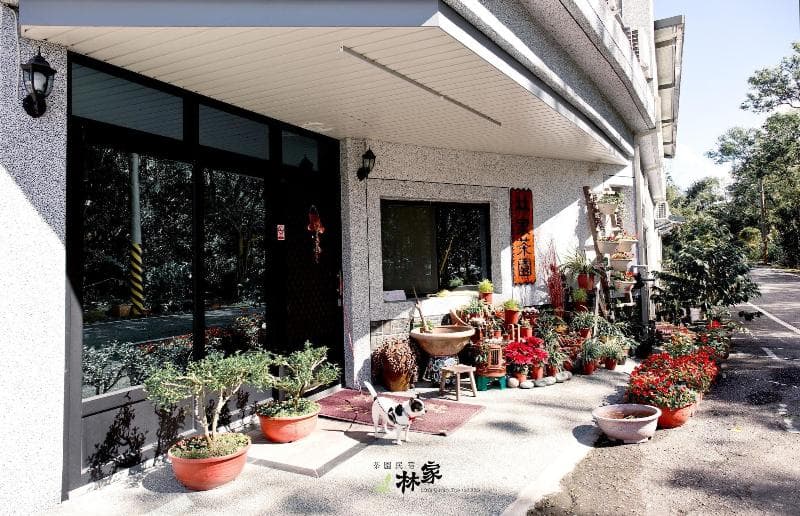 Lin Tea B&B 4