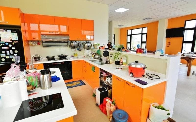 Futian B&B 3