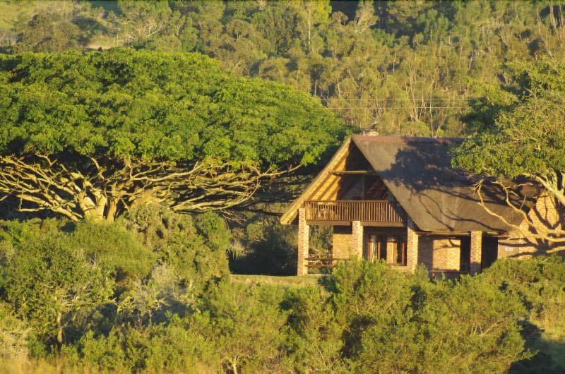 Kragga Kamma Game Park 5