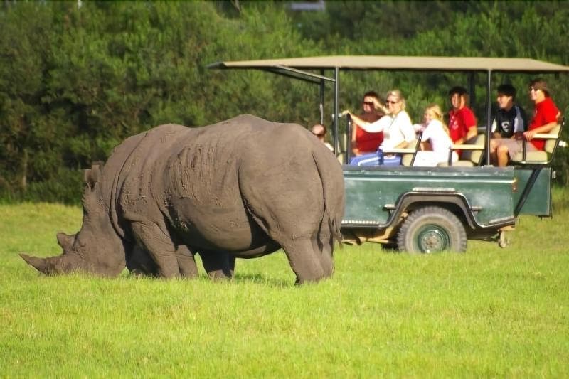 Kragga Kamma Game Park main