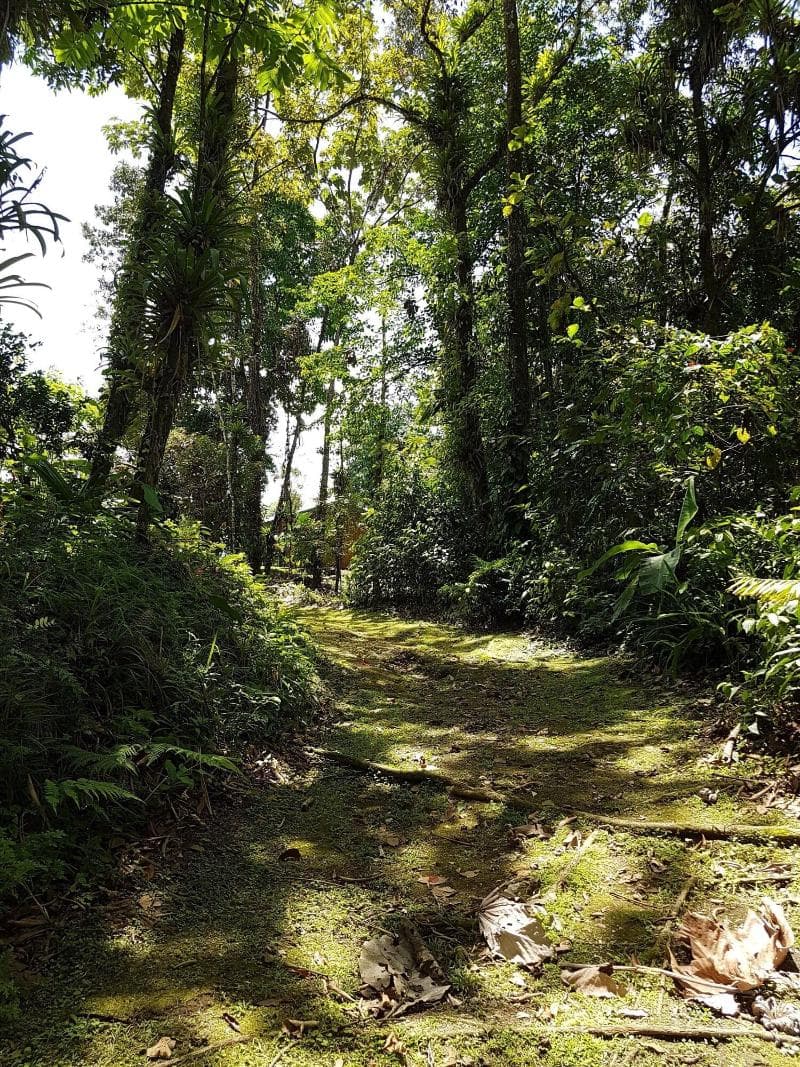 Brisas Arenal Hotel photo 1