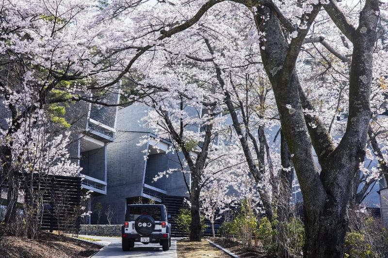 Hoshinoya Fuji 4