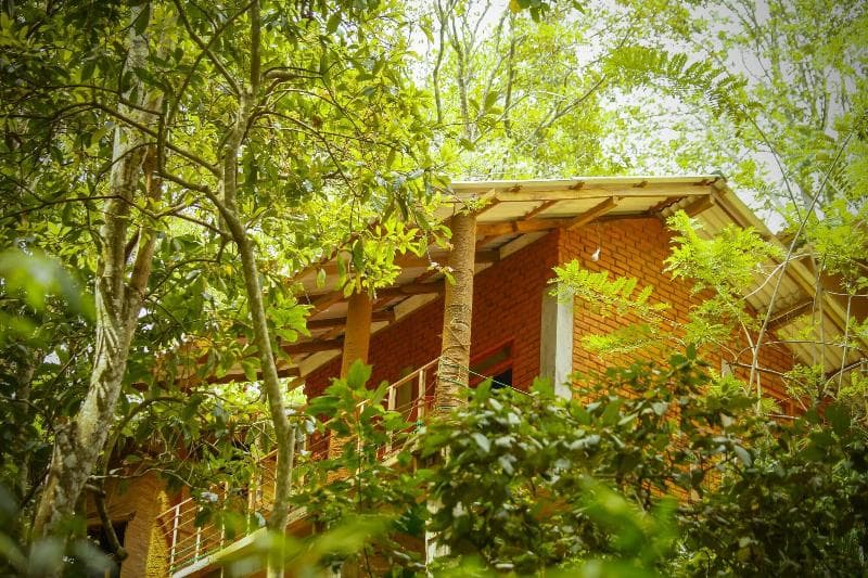 Ella Green Cottages 5