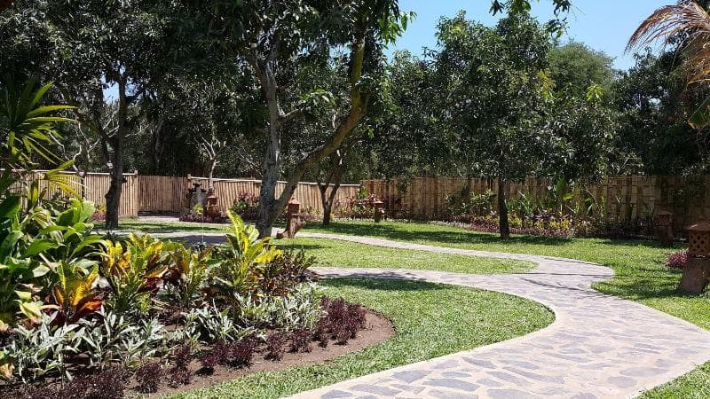Mango Tree Inn 3