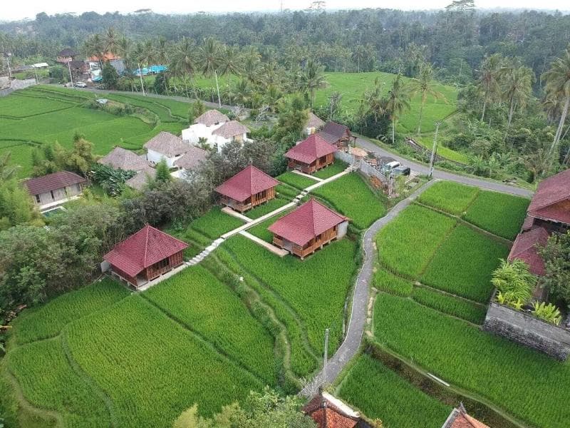 Ubud Sawah Homestay 4