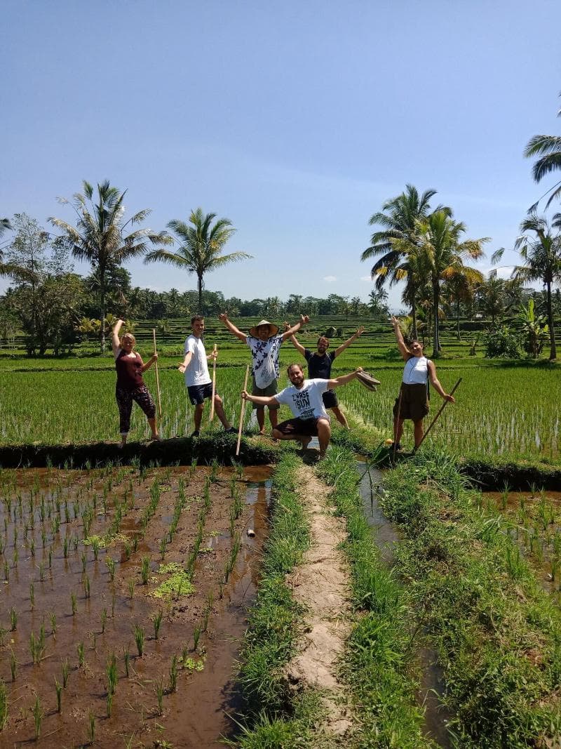 Ubud Sawah Homestay main