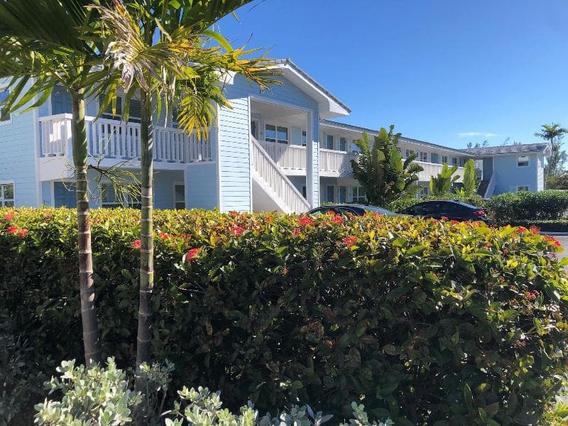 Dolphin Cove - Adults Only 4