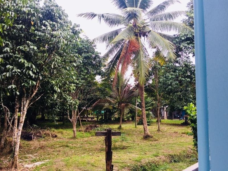 Baan Kalaya Garden 5