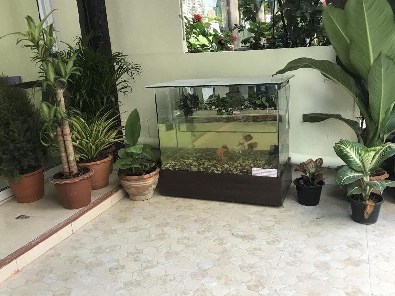 Harry's Residence 3