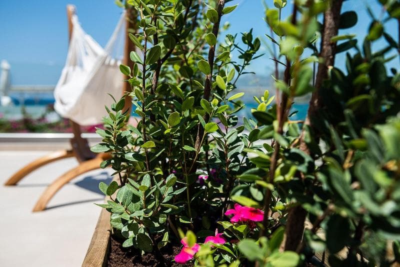 Vergina Beach Hotel 3