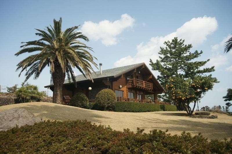Sunnyday Jeju 4