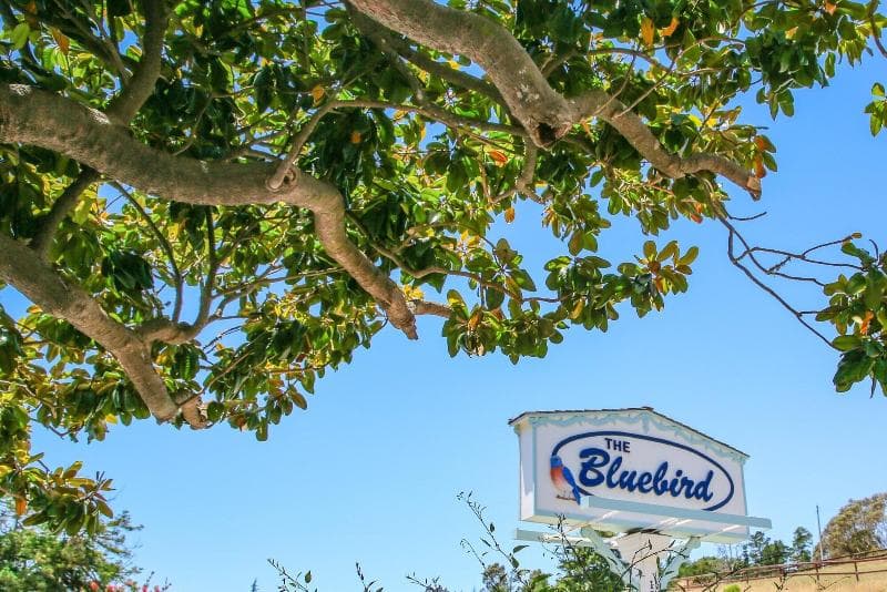 Bluebird Inn 5