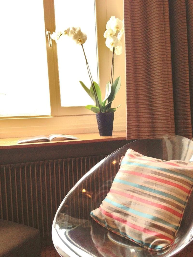 L'ascott 3