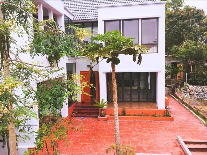 D'home Homestay Cat Ba 3