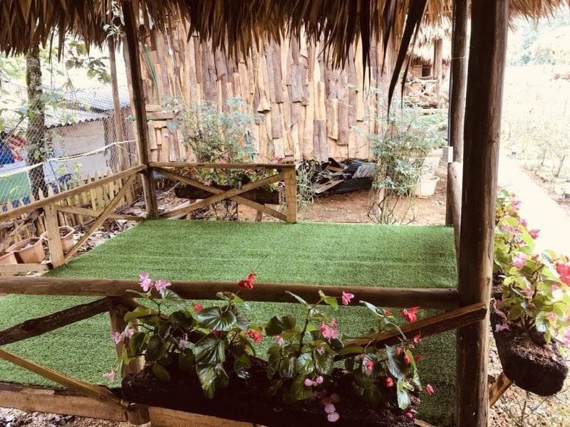Homestay Vuon Hong Co 3