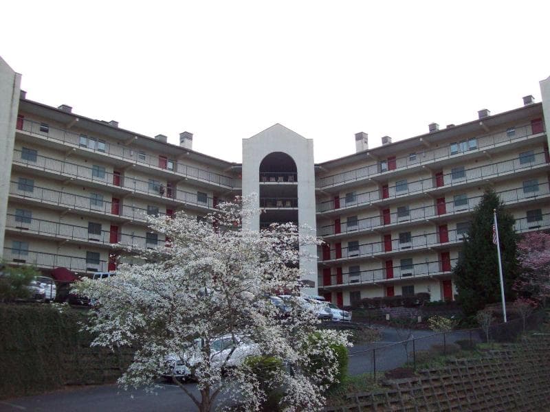 Gatlinburg Chateau 3