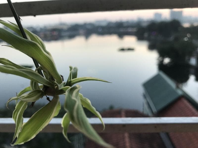 The Autumn Homestay main