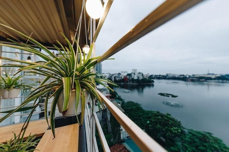 The Autumn Homestay 5