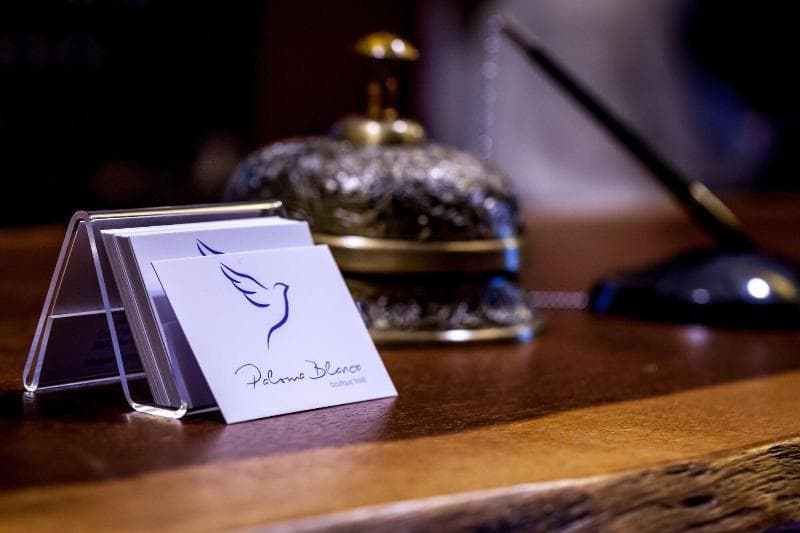 Paloma Blanca Boutique Hotel - Adults Only 4