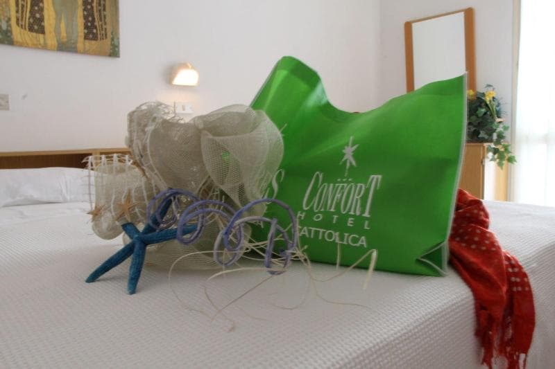 Hotel Confort 4
