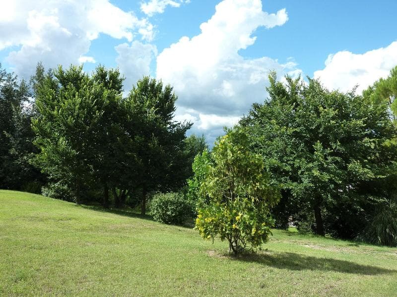 Hotel La Rocca 3
