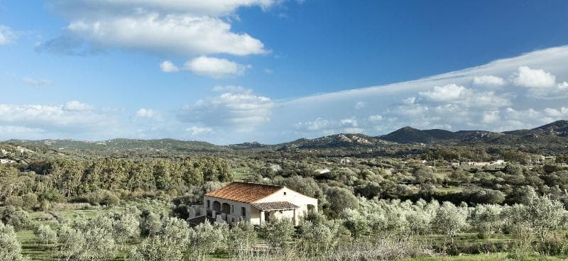 Cascioni Eco Retreat (Adults Only) 3