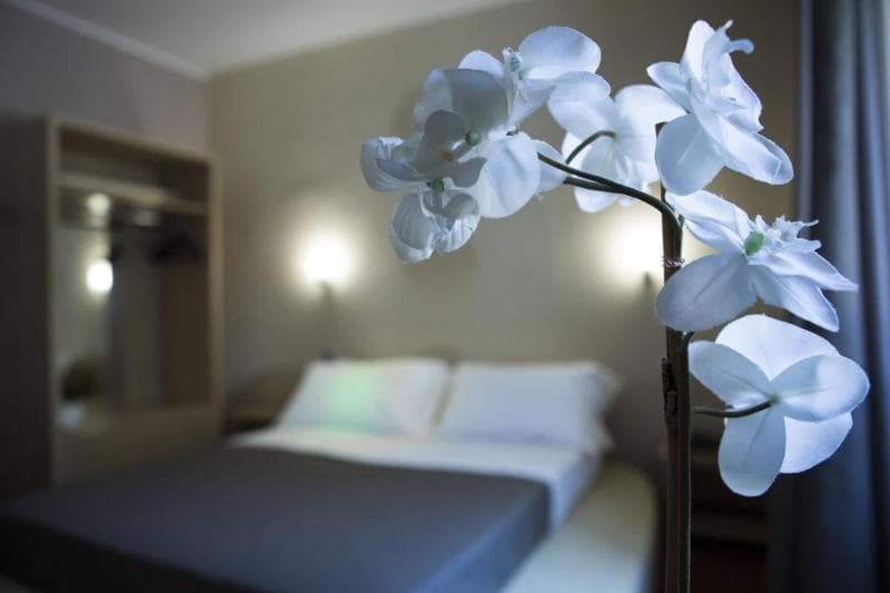 Hotel Plana 3