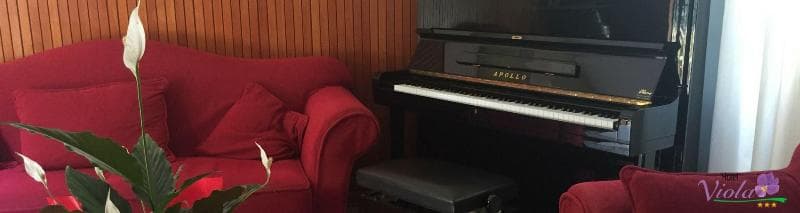 Hotel Viola 3