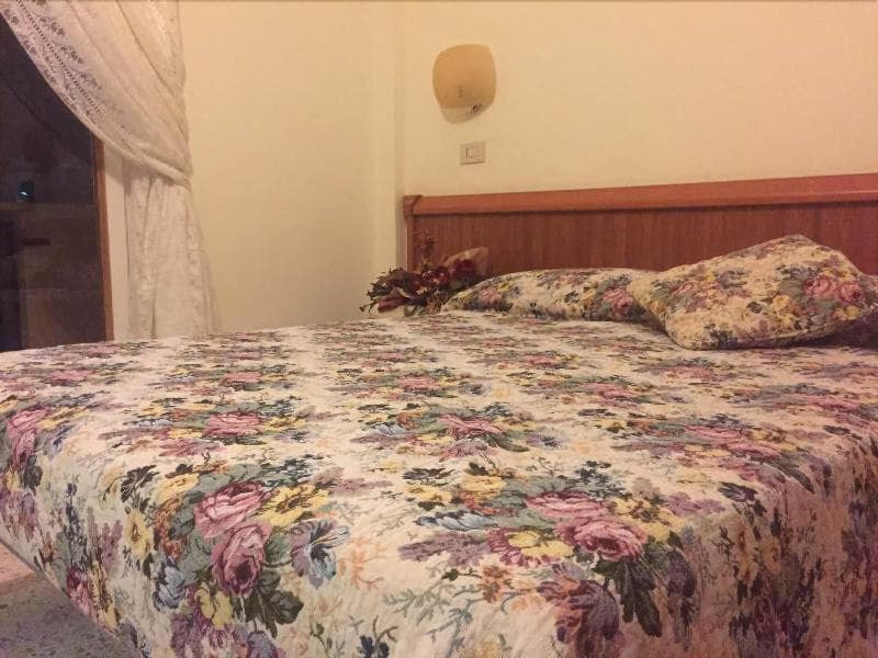 Hotel Viola photo 1