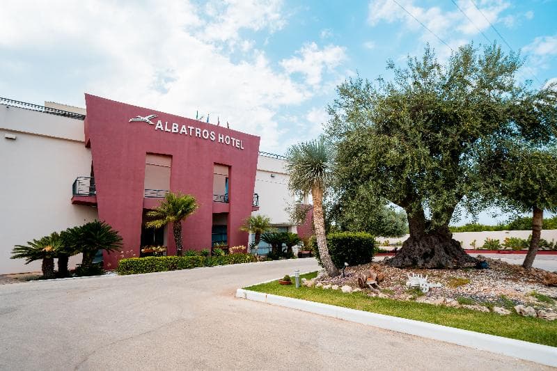 Albatros 2