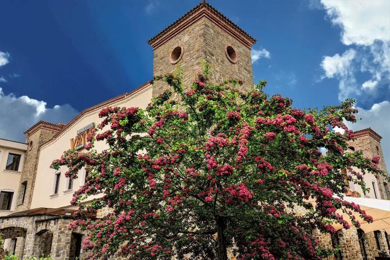 Villa Venus 2