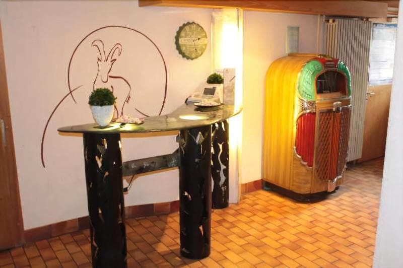 Historic Hotel Steinbock 4
