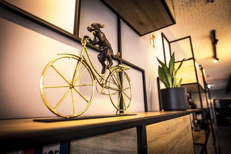 Ibis Wels 4