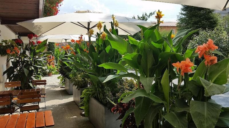 Hotel Garni Sonnenhof 4