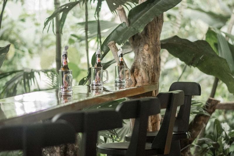 Catarata Eco Lodge (Adults Only) main
